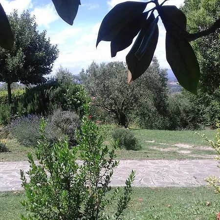 Διαμέρισμα Deliziosa Panoramica Campagnano Di Roma
